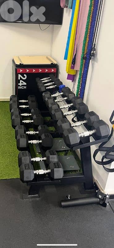 set dumbbells 2.5 till 50 kg 03027072 GEO SPORT EQUIPMENT