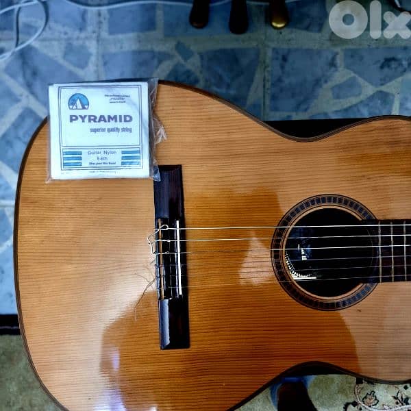 Giannini Classical Guitar Made in Brazil غيتار برازيلي للبيع 4