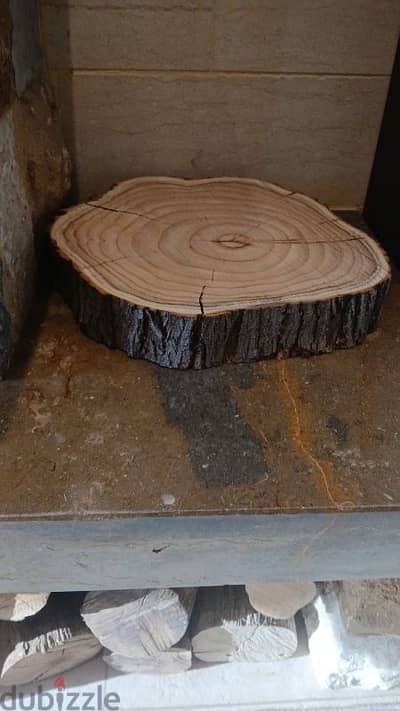 خشبة زينة الميلاد زنزلخت طبيعي