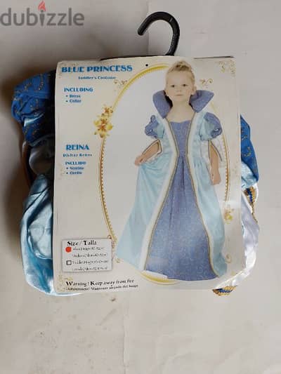 Cinderella costume