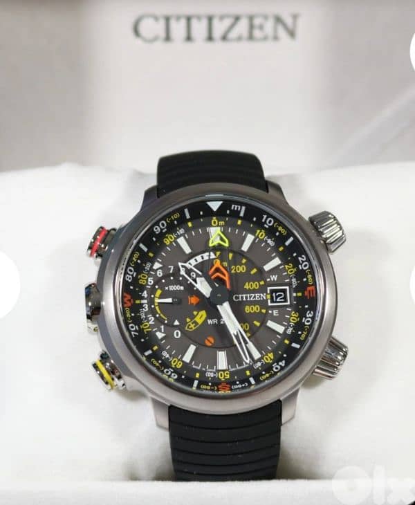 Citizen Eco Drive 1