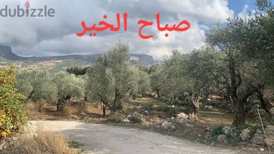ارض زراعية او سياحية