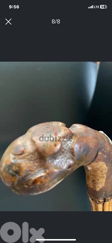 rare 19th century Scottish gents walking stick 4