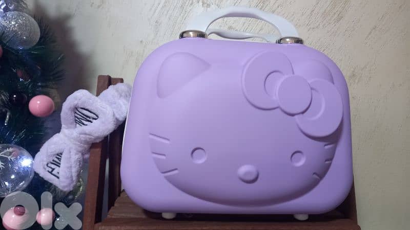 travel bag,  makeup bag 1