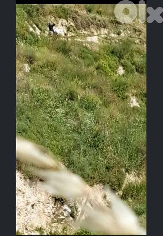 ارض للبيع في عيتا الفخار البقاع الغربي land for sale in beqaa 1