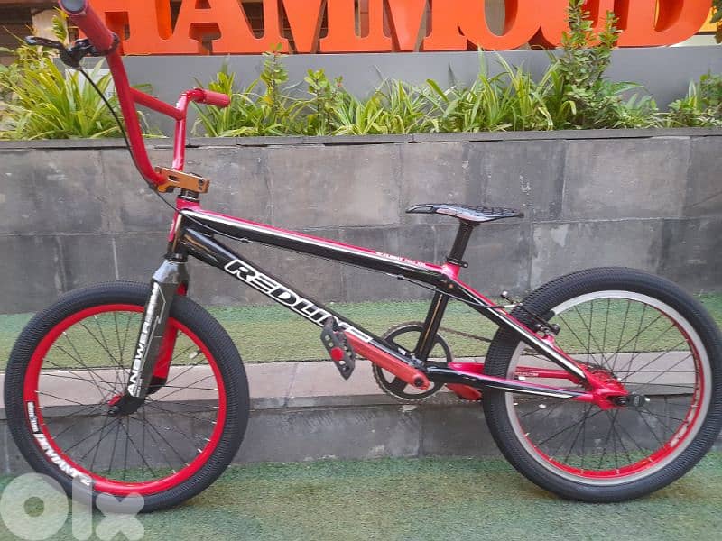 cety bike 11
