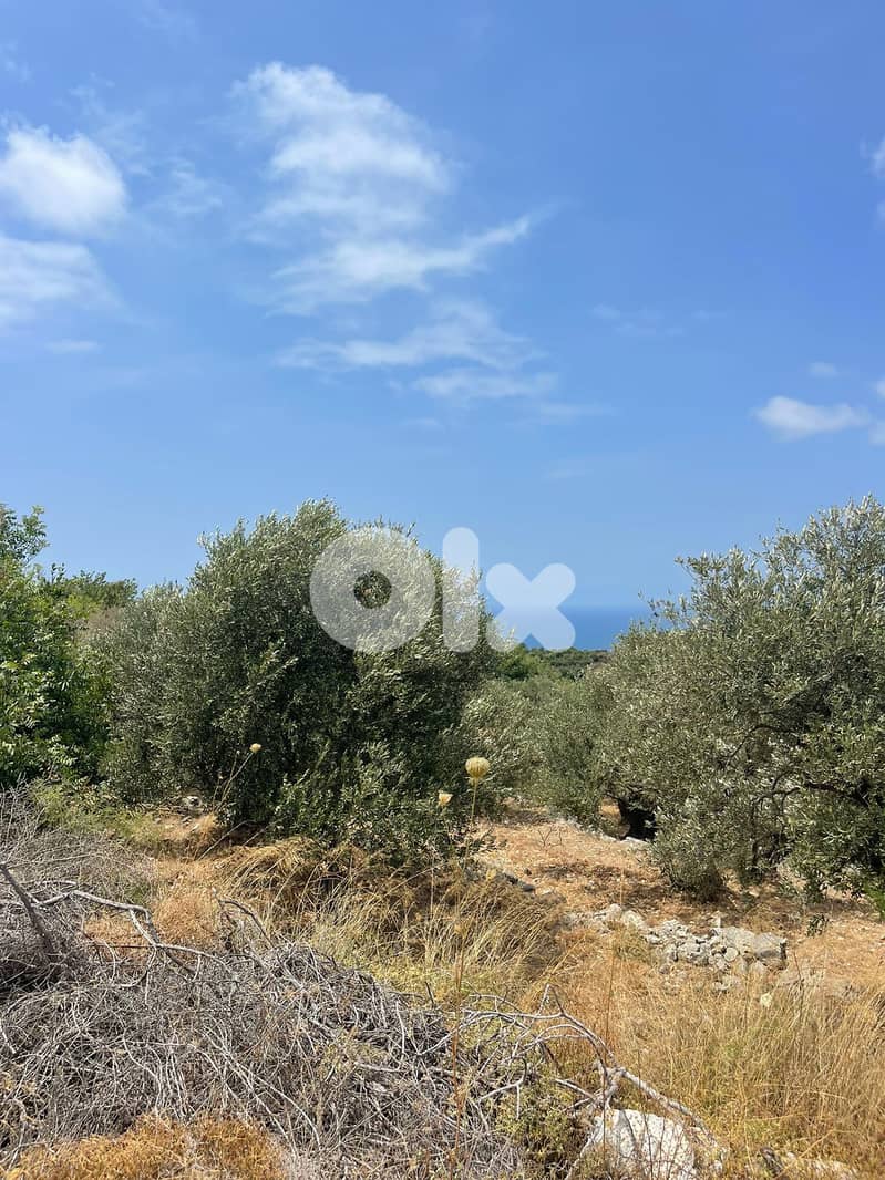 RWB201CA - Land for sale in Jeddayel Jbeil 0