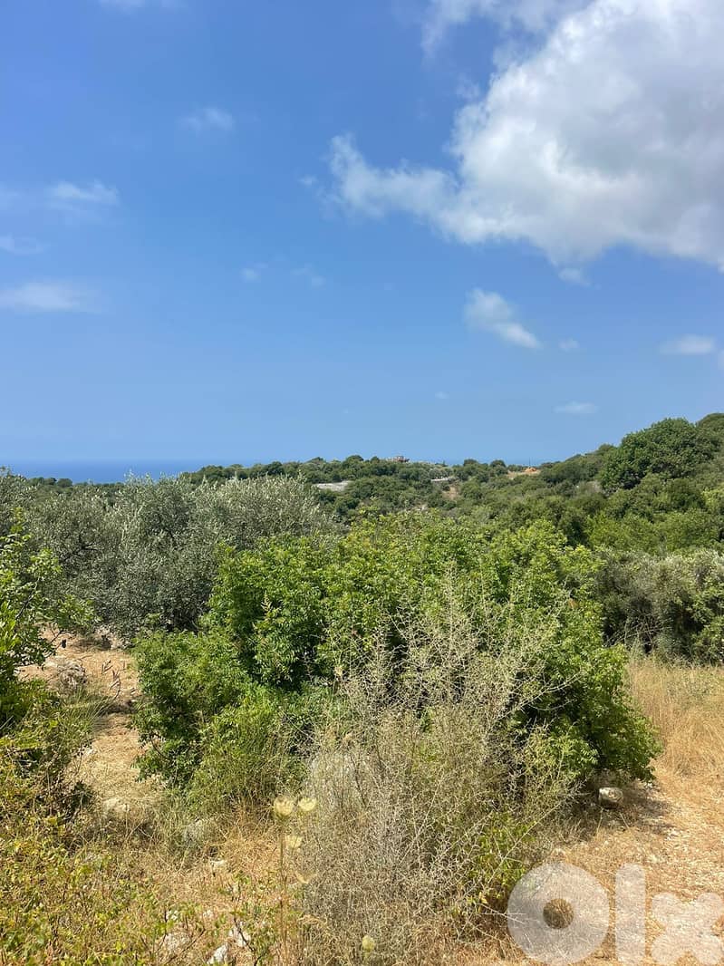 RWB201CA - Land for sale in Jeddayel Jbeil 1