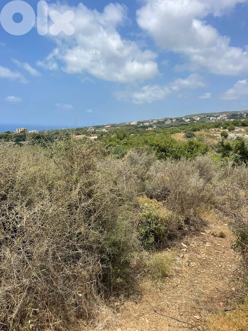 RWB201CA - Land for sale in Jeddayel Jbeil 2