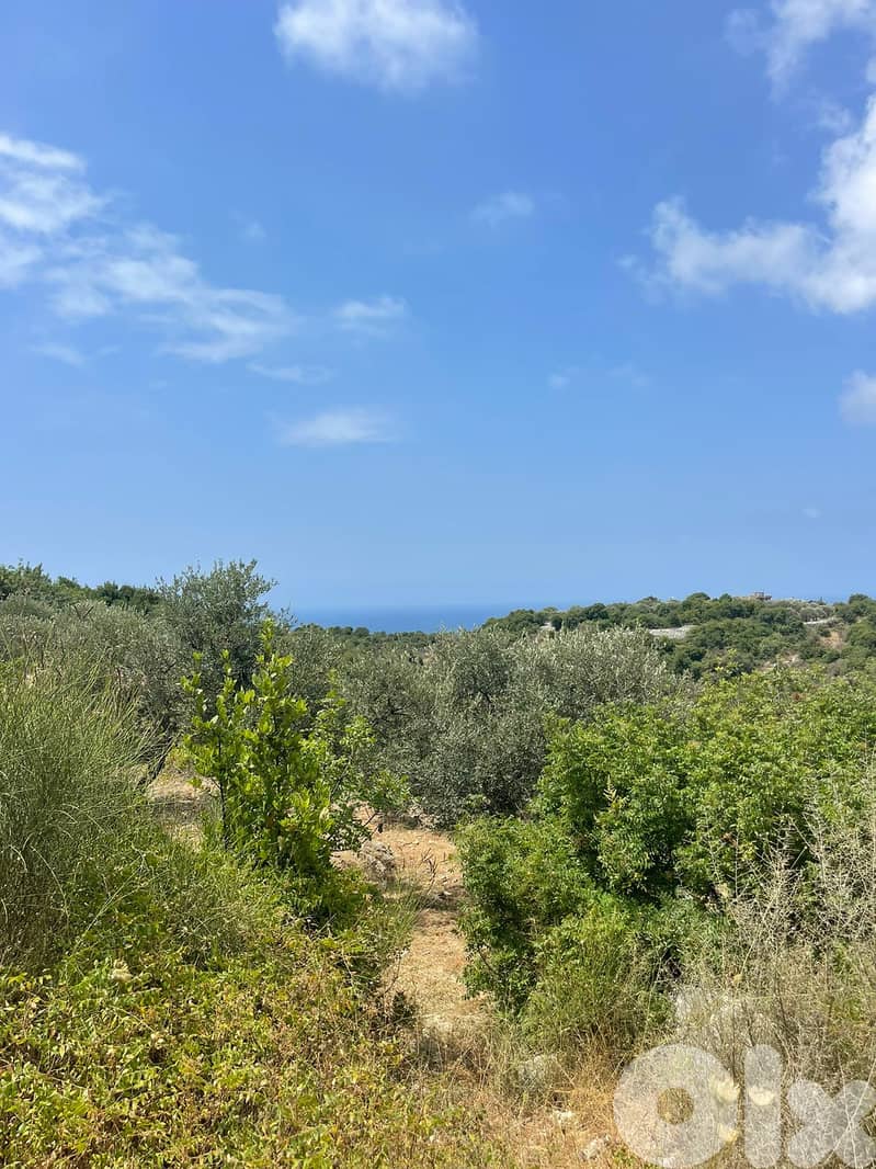 RWB201CA - Land for sale in Jeddayel Jbeil 3