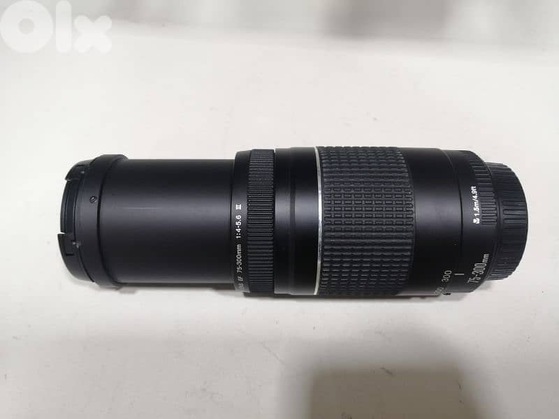 lens Canon 75_300mm 1