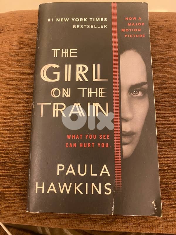 The girl on the train 1