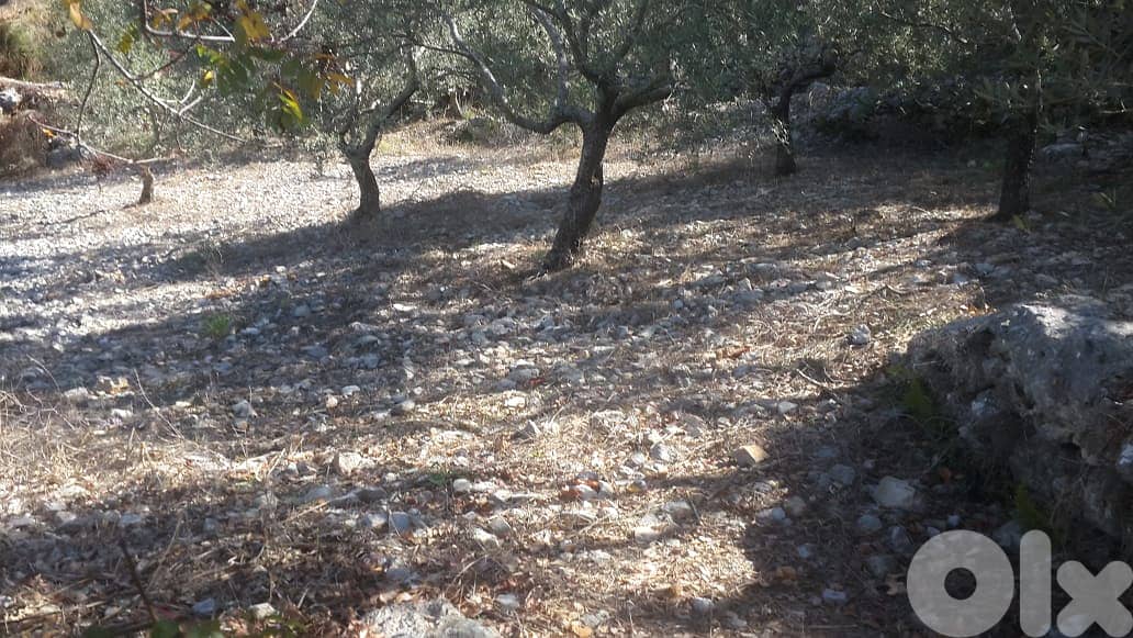 RWB202CA - Undermarket price! Land for sale in Bejjeh Jbeil 1