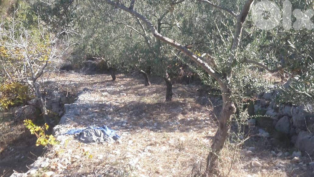 RWB202CA - Undermarket price! Land for sale in Bejjeh Jbeil 2