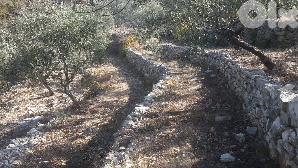 RWB202CA - Undermarket price! Land for sale in Bejjeh Jbeil 3