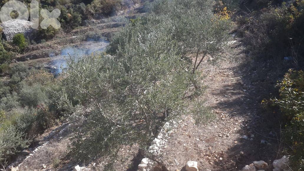 RWB202CA - Undermarket price! Land for sale in Bejjeh Jbeil 4