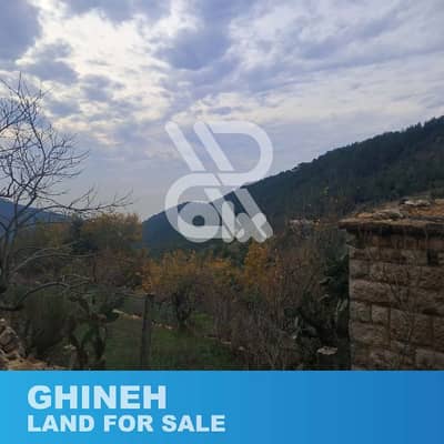 Land for sale at Ghineh - أرض للبيع في الغينة