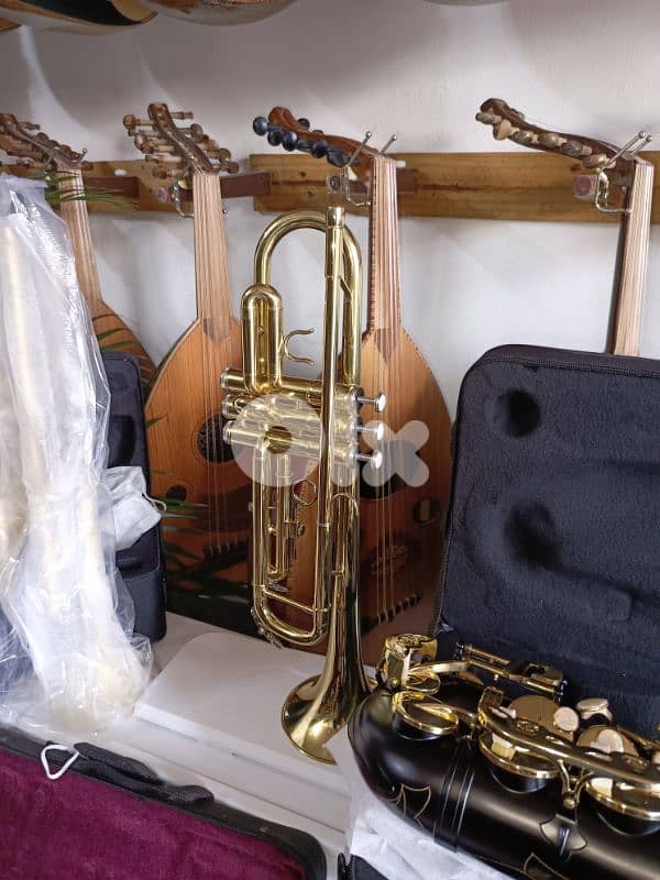 trumpet brand new 0