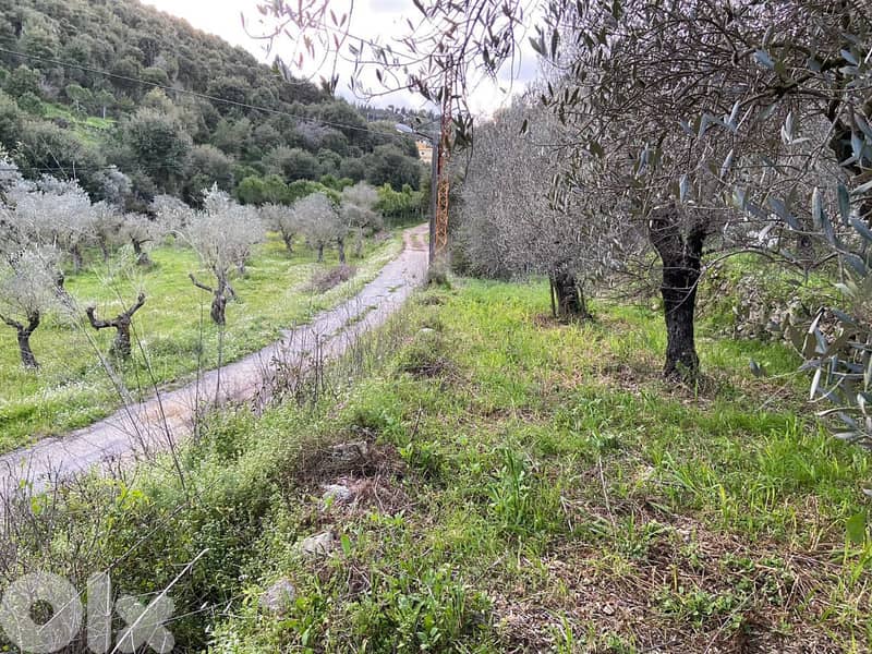 Prime 630 sqm Land in Jran El Batroun 1