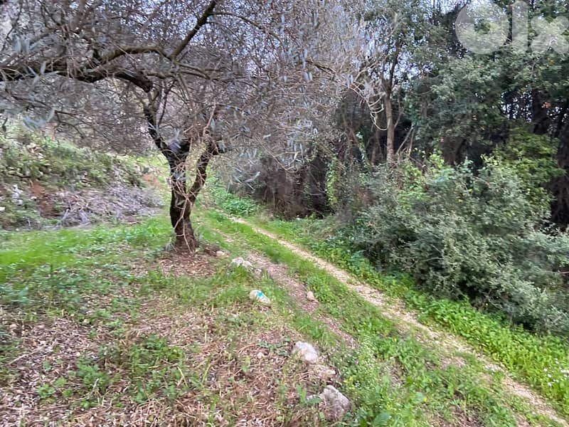 Prime 630 sqm Land in Jran El Batroun 2
