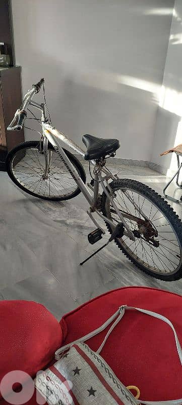 الحالة جيدة 1