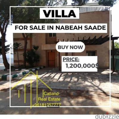 Villa for sale in Nabeah Saade فيلا للبيع في نبع السعادة