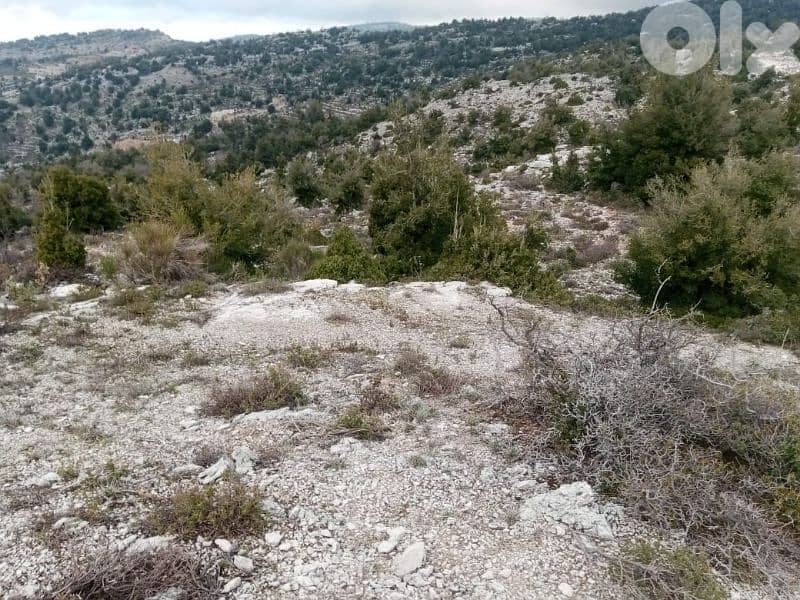 ارض للبيع في جبيل land for sale in jbeil 1