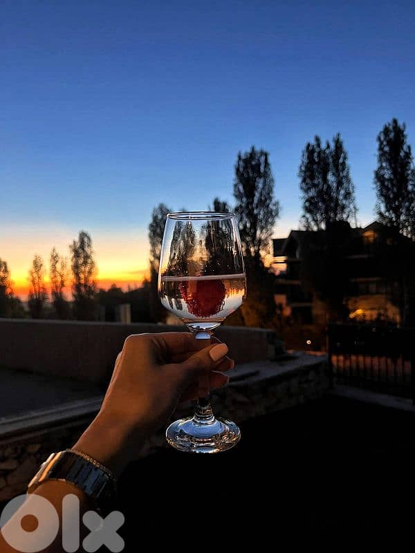 Tilal Al Assal - Fireplace and Garden (Faqra, Mzaar, Faraya) 9