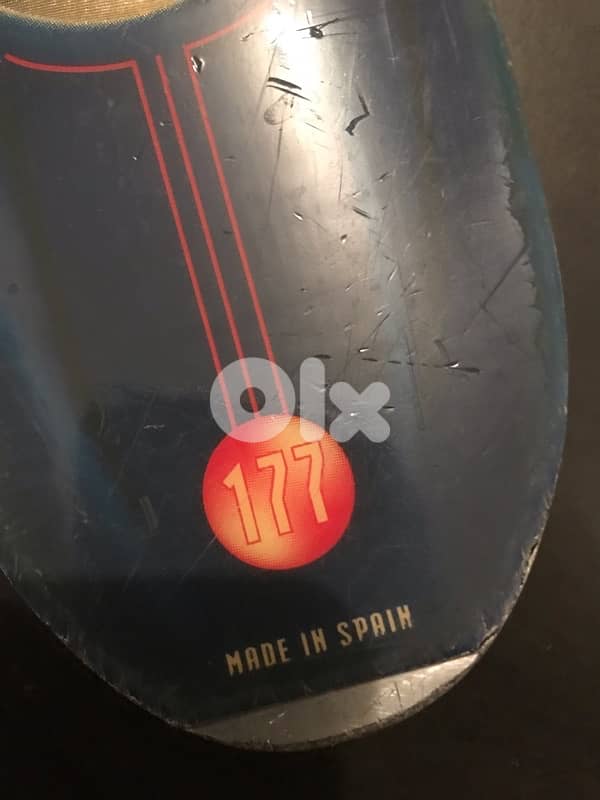 Ski & Stand for car 2