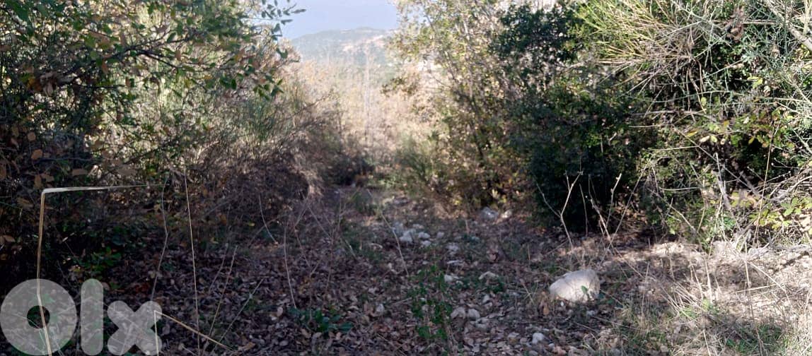 RWB146PK - Land for sale in Mechmech Jbeil 5