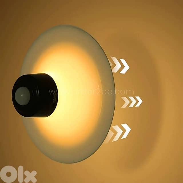 Motion Sensor Wall Lamp LED Night Light for Closet, Stairs & Halls 2