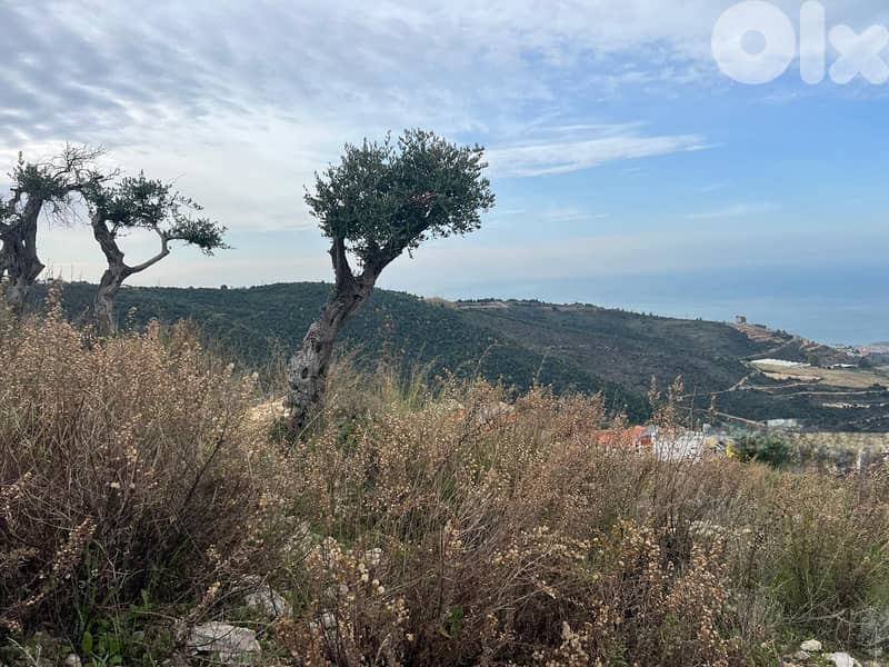 Land in Hboub for sale/ Amazing View 1