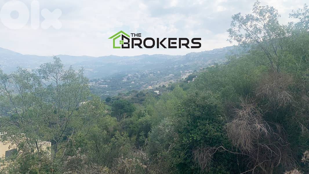 Land for Sale in Abadiyeh   أرض للبيع في العبادية 0