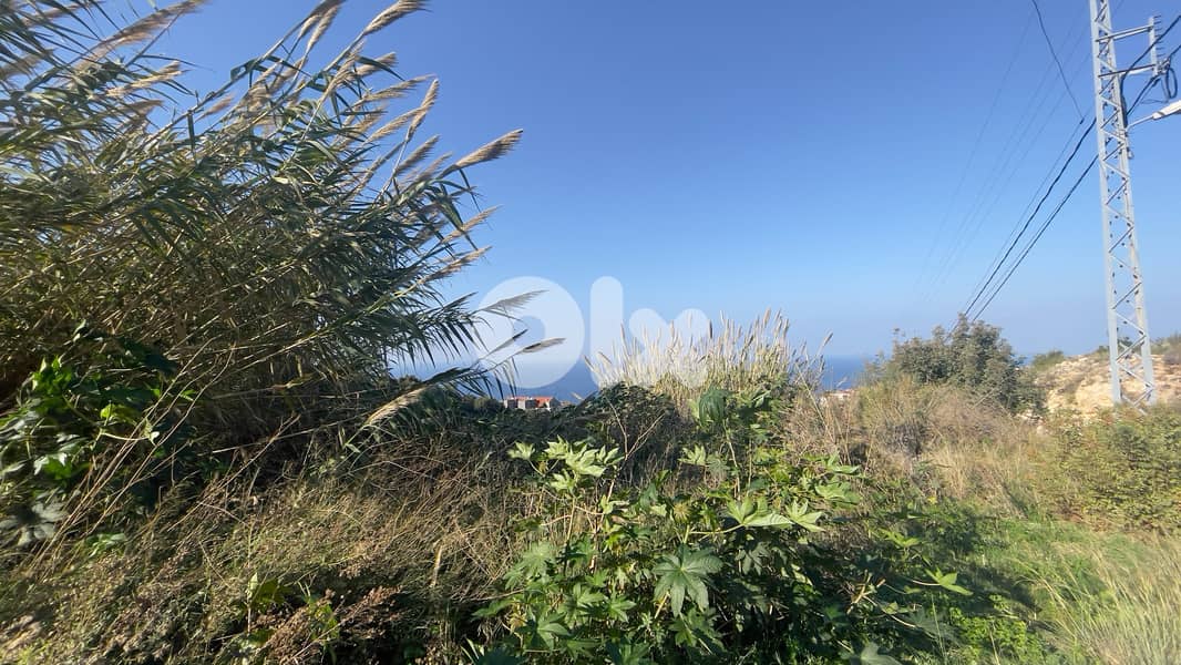 RWB204CA - Prime location land for sale in Halat Jbeil 0