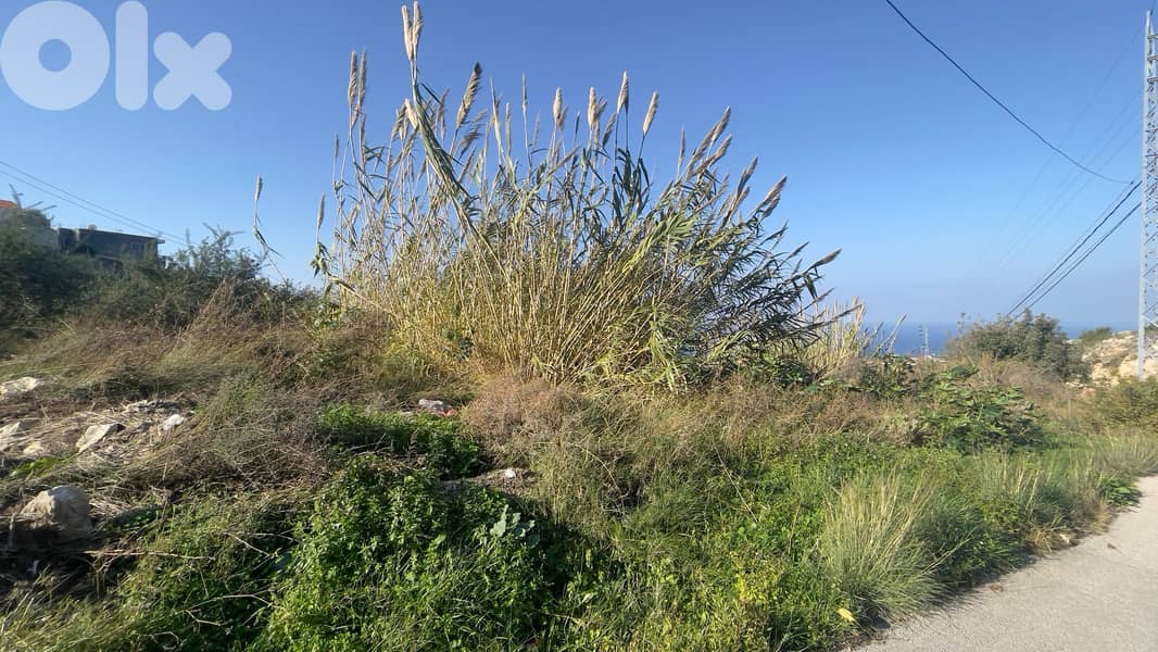 RWB204CA - Prime location land for sale in Halat Jbeil 3