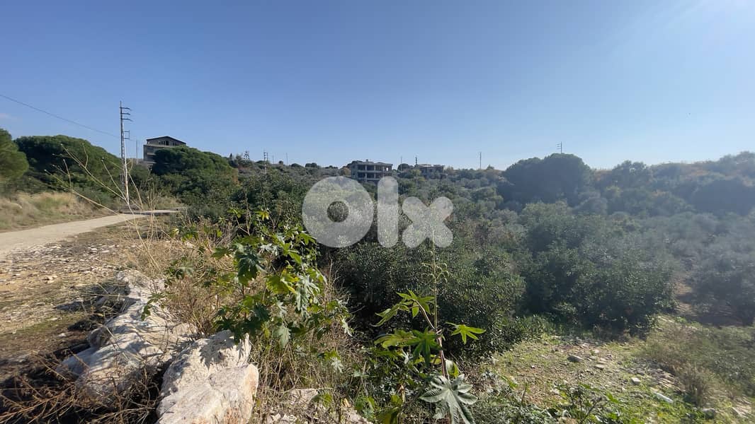 RWB205CA - Land for sale in Chikhane Jbeil 2