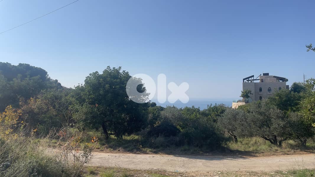 RWB205CA - Land for sale in Chikhane Jbeil 4