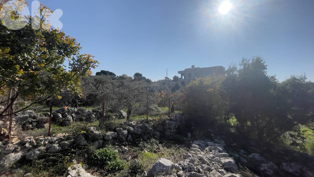 RWB206CA - Land for sale in Chikhan Jbeil 0