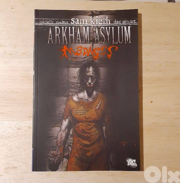 Arkham Asylum Madness Graphic Novel. 0