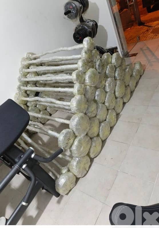 Weighted Barbell 1