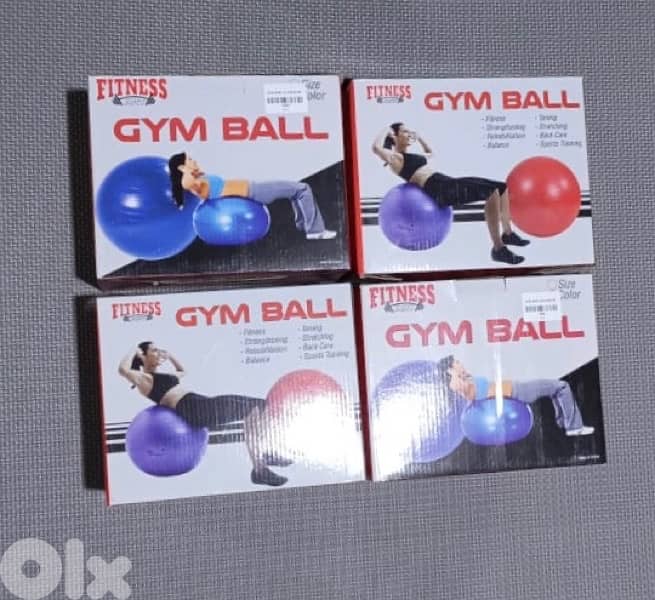 Gym Ball 1
