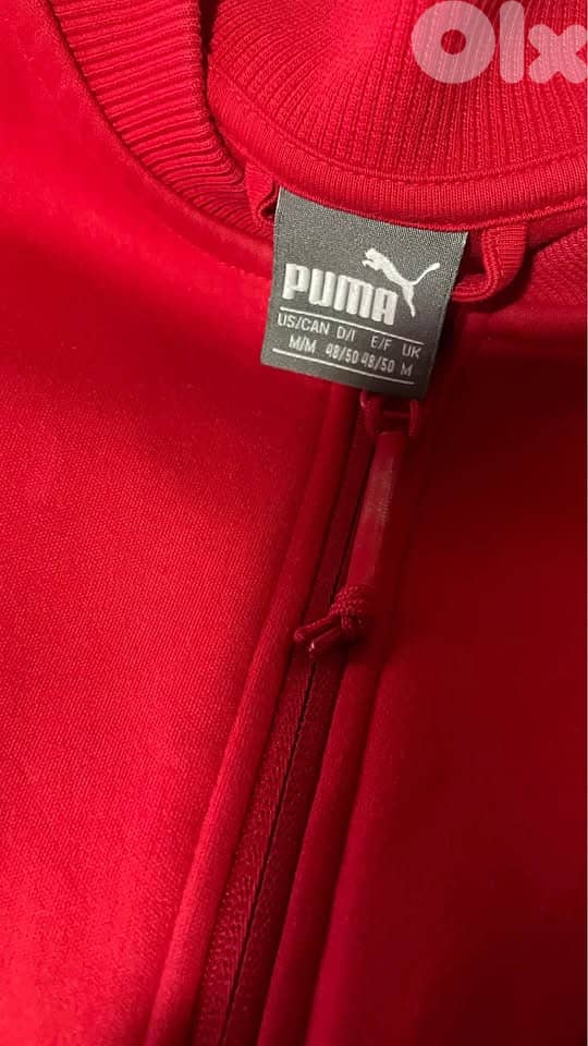 ferrari jacket puma 2