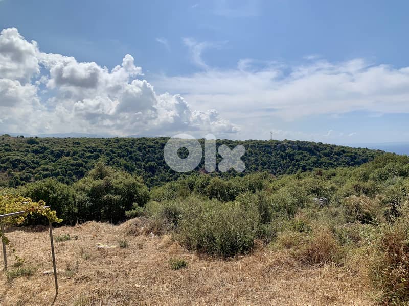 RWB163NK - Apartment for rent in Jeddayel Jbeil 0