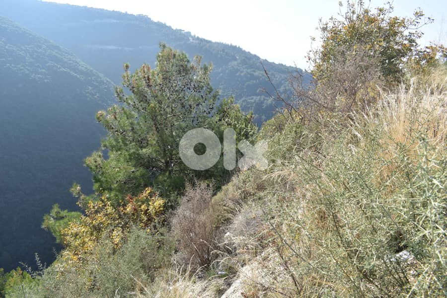 RWB108ZB - Land for sale in Mastita Jbeil 2