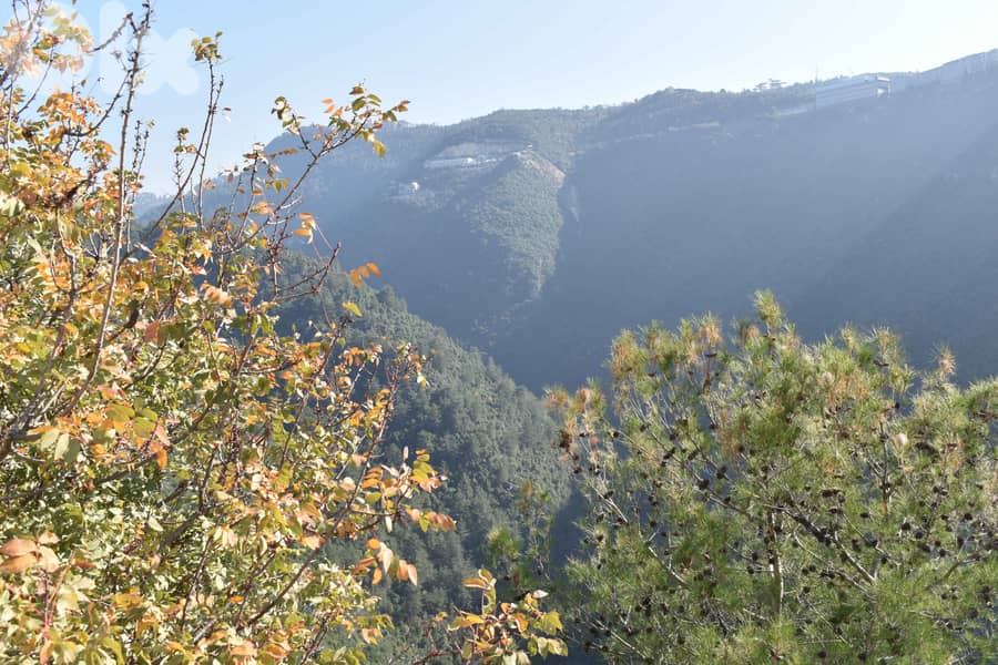 RWB108ZB - Land for sale in Mastita Jbeil 4