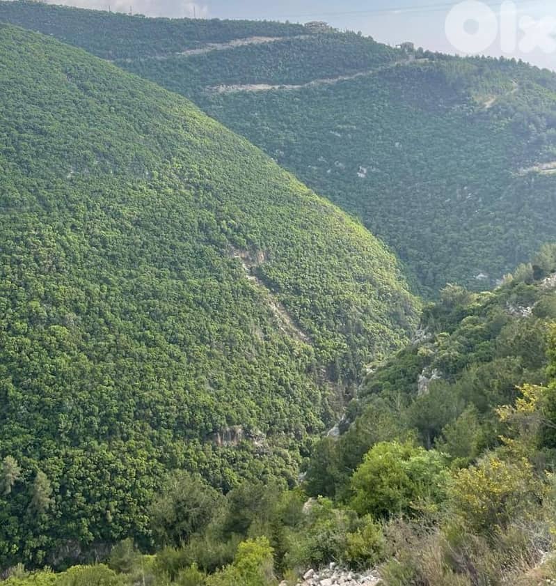 RWB108ZB - Land for sale in Mastita Jbeil 5