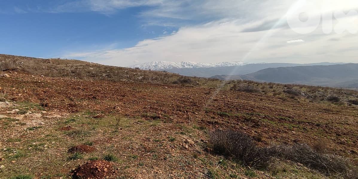 10900 Sqm|Land For Sale In Rashaya Al Wadi ارض للبيع في راشيا الوادي 0