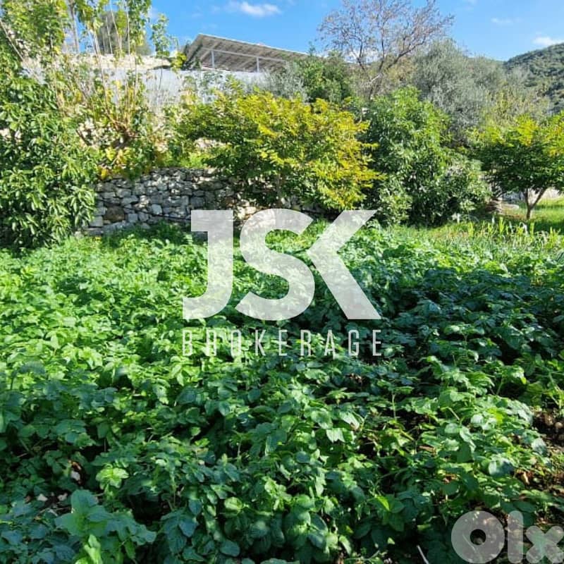 L16820 - Spacious Land For Sale in Kfar Aabida, Batroun 0