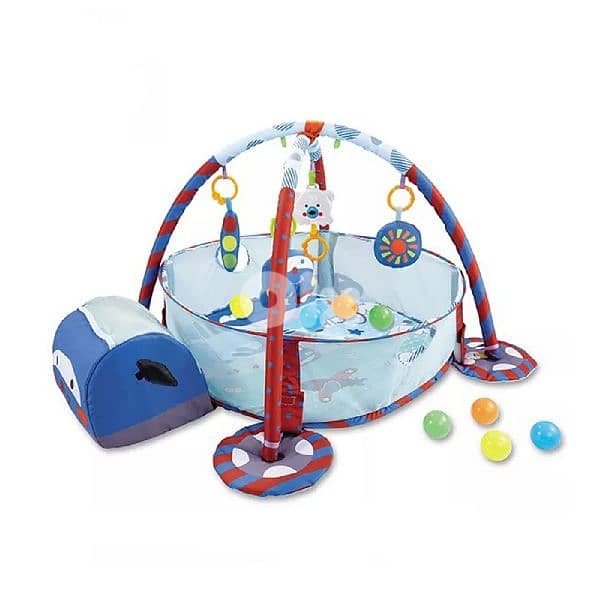 Turtle Baby Activity Gym With Ball Pit 0