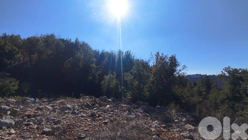 Land For Sale in Marjaba(Mrouj) / للبيع أرض في مرجبا(مروج) 0